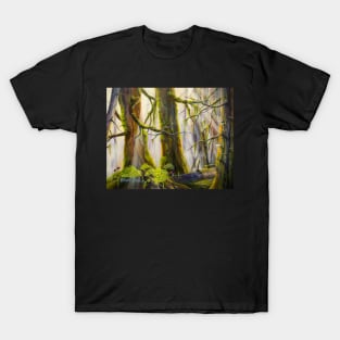 Rainforest T-Shirt